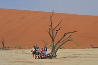 Sossusvlei Dead Valley