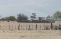 een homestead onderweg