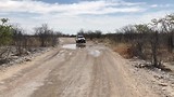 Rijden door Etosha na de regenbui