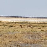 20181023_094141