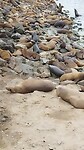 Monterey bay