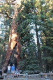Giant Grizzly