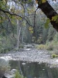 Yosemite National Park