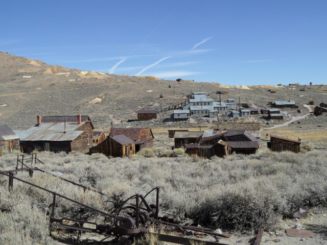 Bodie