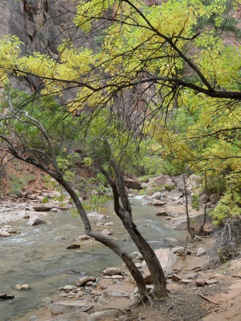 richting de Narrows