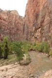 de Narrows