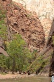 de Narrows