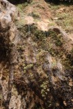 Weeping Rock