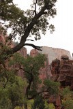 Pine creek waterfall trail