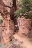 Pine creek waterfall trail