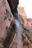 Pine creek waterfall
