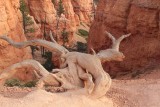 Bryce Canyon National Park