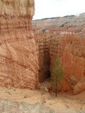 Bryce Canyon National Park