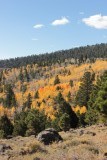 Onderweg naar Capital Reef, prachtige herfst kleuren