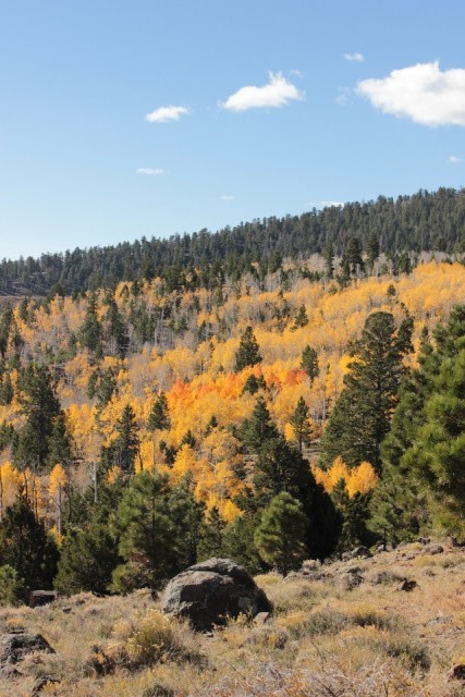 Onderweg naar Capital Reef, prachtige herfst kleuren