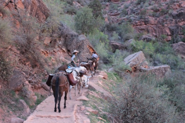 grand canyon
