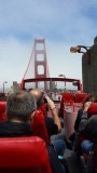 Golden gate bride