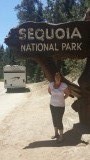 Sequoia Natiional park