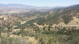 Los Padres park