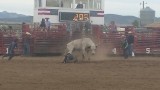 Rodeo