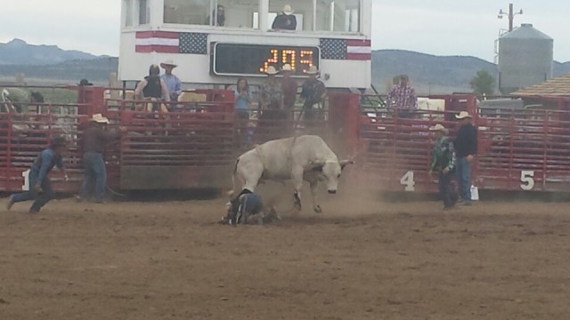 Rodeo