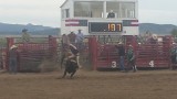 Rodeo