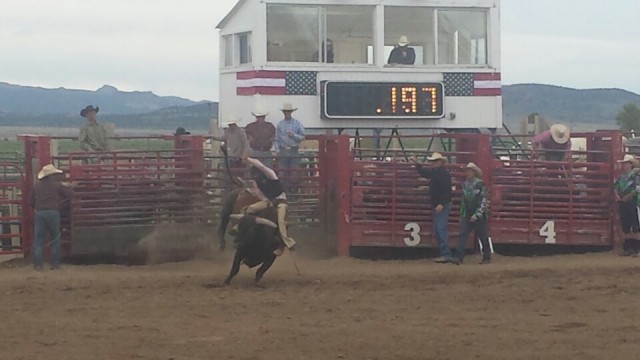 Rodeo
