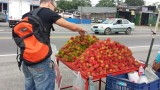 Langs de weg fruit kopen
