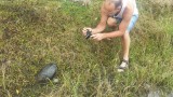 Save the turtle