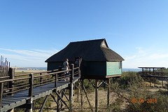 DSC07511