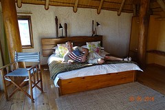 DSC07514