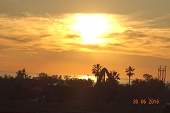 DSC07525