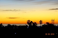 DSC07537