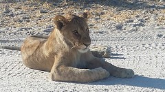 20160603_154156