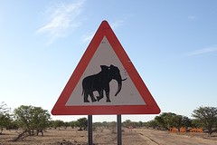 Hier hebben ze andere verkeersborden dan bij ons