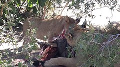20160613_133740