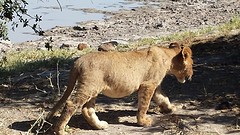 20160613_133819