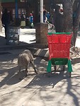 20170601_114050