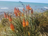 20190220_131452