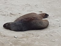 20190221_144317