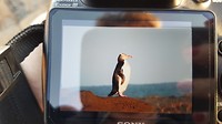 20190220_195910