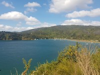20190307_145901