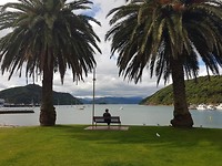 Picton
