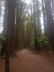 20190313_163442