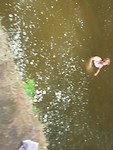 20190313_135008