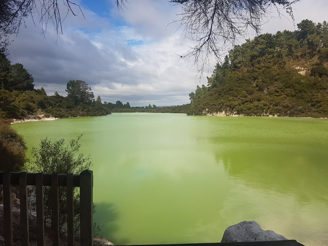 20190313_113351