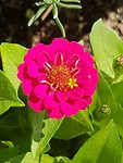 20190314_152530