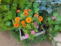 20190314_151713