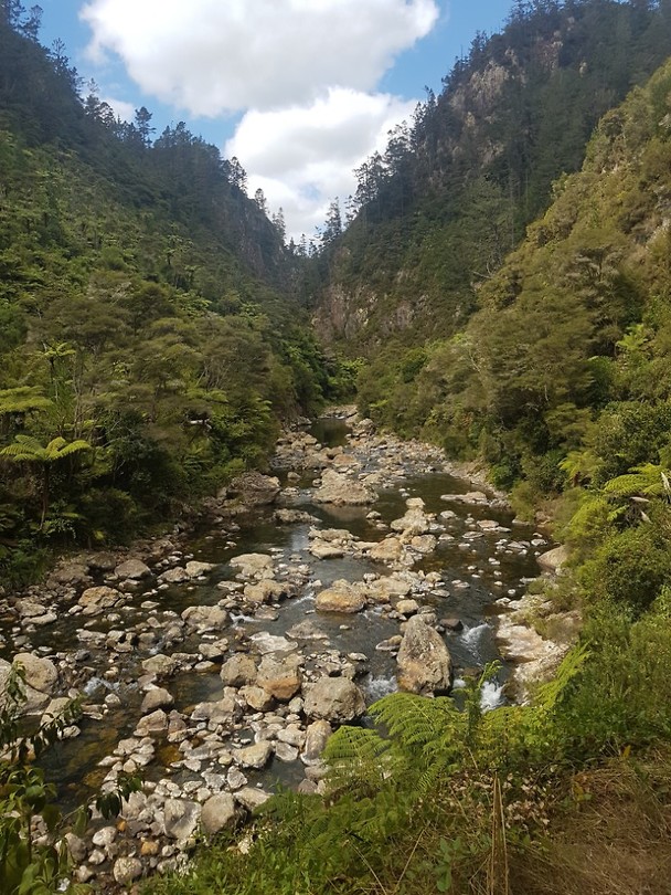 20190316_131705