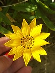 20190320_154649